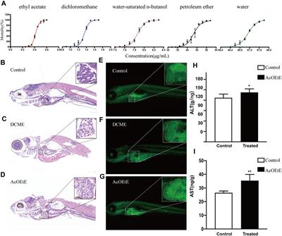 Lipidomics Indicates the Hepatotoxicity Effects of EtOAc Extract of Rhizoma Paridis